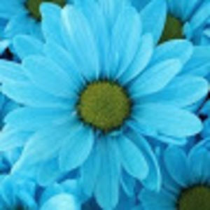 Meet your Posher, April marie